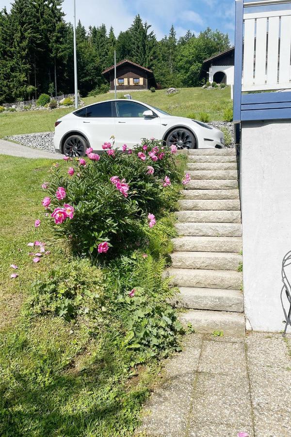 Apartmán Haus Waldblick Philippsreut Exteriér fotografie